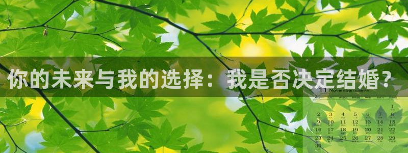 mg不朽情缘平台总代理：你的未来与我的选择：我是否决定结婚？