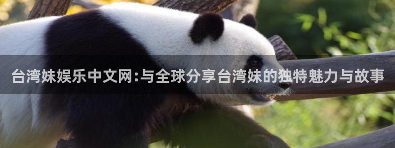 mg不朽情缘2登录入口：台湾妹娱乐中文网:与全球分享台湾妹的独特魅力与故事