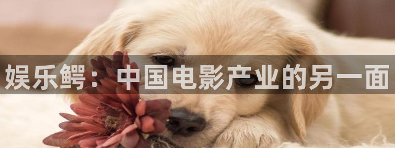 mg不朽情缘5注册：娱乐鳄：中国电影产业的另一面
