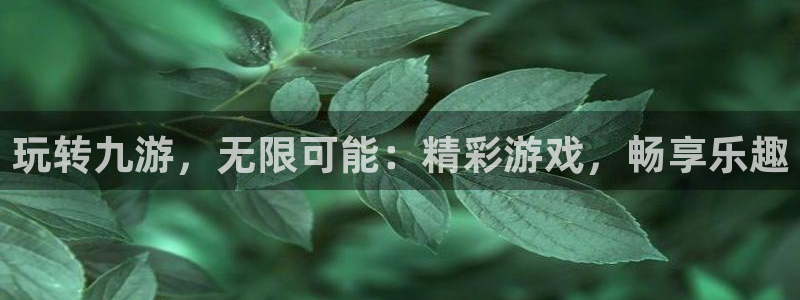 mg不朽情缘3登录：玩转九游，无限可能：精彩游戏，畅享乐趣