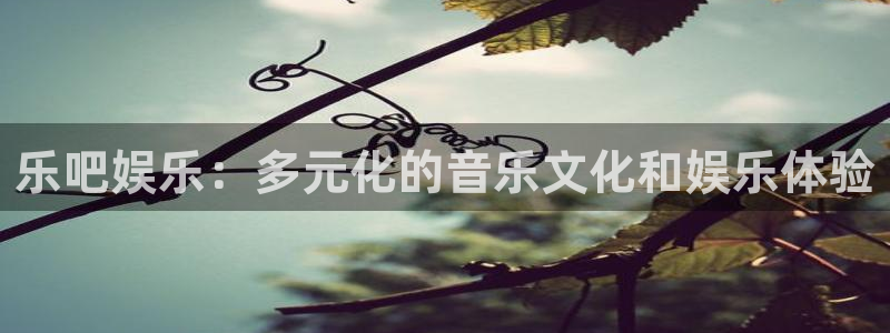 mg不朽情缘kgame：乐吧娱乐：多元化的音乐文化和娱乐体验