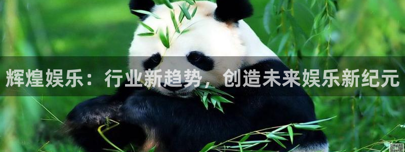 mg不朽情缘2登录：辉煌娱乐：行业新趋势，创造未来娱乐新纪元