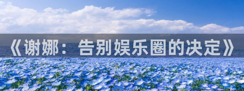 mg不朽情缘官网注册：《谢娜：告别娱乐圈的决定》