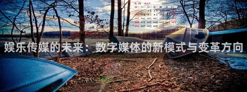 mg不朽情缘体育f开号：娱乐传媒的未来：数字媒体的新模式与变革方向