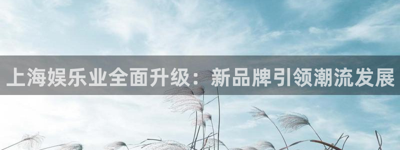 www.mg不朽情缘体育.com：上海娱乐业全面升级：新品牌引领潮流发展