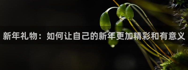 www.mg不朽情缘体育.com：新年礼物：如何让自己的新年更加精彩和有意义