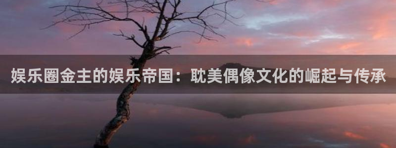 mg不朽情缘2注册：娱乐圈金主的娱乐帝国：耽美偶像文化的崛起与传承