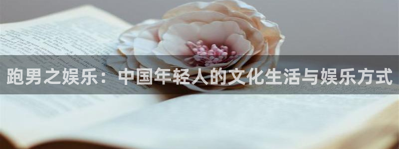 mg不朽情缘3代理：跑男之娱乐：中国年轻人的文化生活与娱乐方式