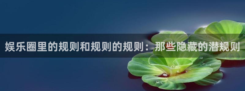 mg不朽情缘体育平台登录入口：娱乐圈里的规则和规则的规则：那些隐藏的潜规则