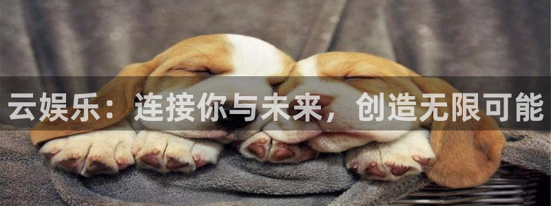 mg不朽情缘凯捷开号链接：云娱乐：连接你与未来，创造无限可能