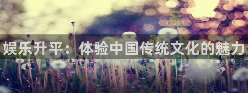 mg不朽情缘主管：娱乐升平：体验中国传统文化的魅力