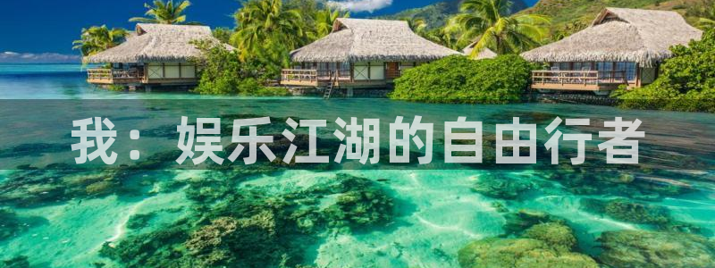 mg不朽情缘体育凯捷平台注册：我：娱乐江湖的自由行者