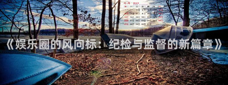 mg不朽情缘体育平台开号链接：《娱乐圈的风向标：纪检与监督的新篇章》