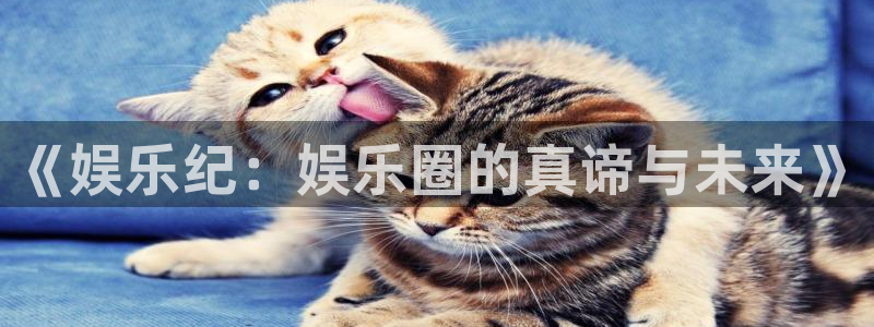 mg不朽情缘3平台注册：《娱乐纪：娱乐圈的真谛与未来》