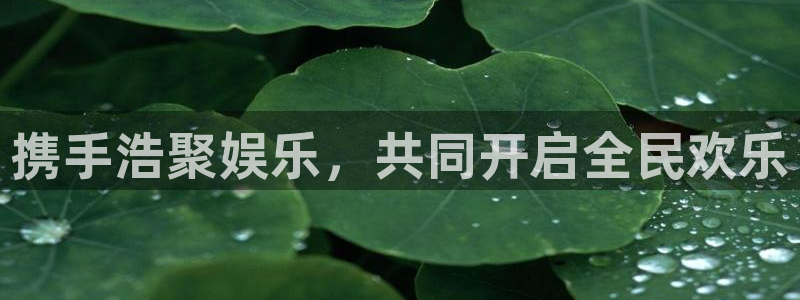 mg不朽情缘游戏有哪些好玩的：携手浩聚娱乐，共同开启全民欢乐