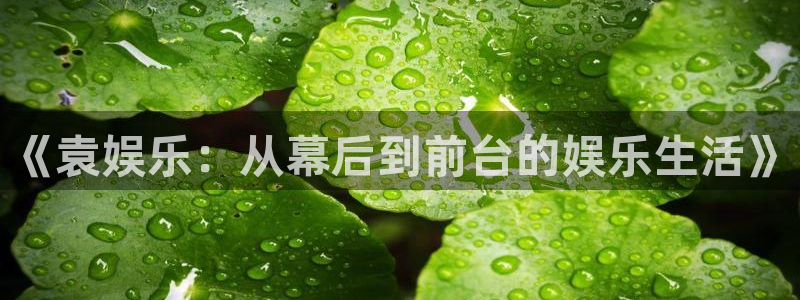 mg不朽情缘4平台：《袁娱乐：从幕后到前台的娱乐生活》