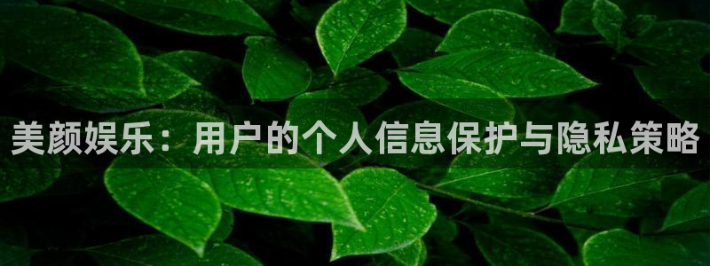 mg不朽情缘包怎么样：美颜娱乐：用户的个人信息保护与隐私策略