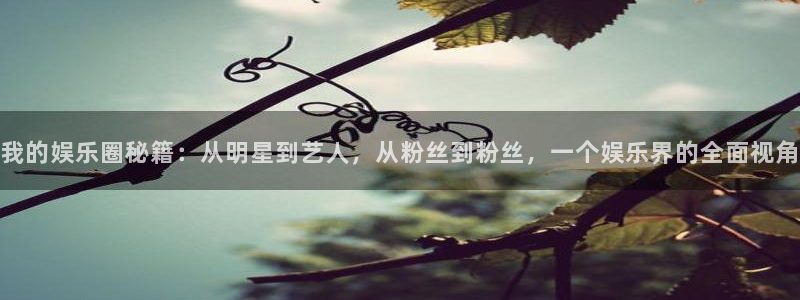 mg不朽情缘2平台：我的娱乐圈秘籍：从明星到艺人，从粉丝到粉丝，一个娱乐界的全面视角