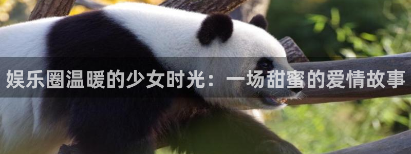 mg不朽情缘体育在线注册：娱乐圈温暖的少女时光：一场甜蜜的爱情故事