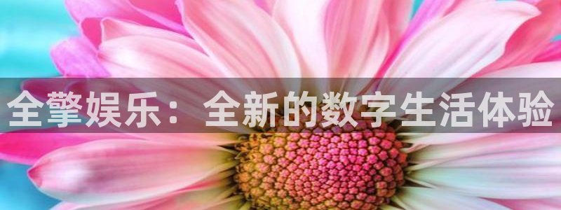 mg不朽情缘体育免费注册入口：全擎娱乐：全新的数字生活体验